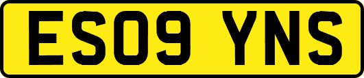 ES09YNS