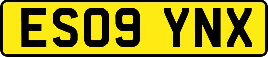 ES09YNX
