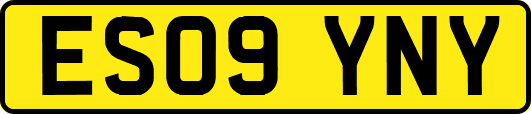 ES09YNY