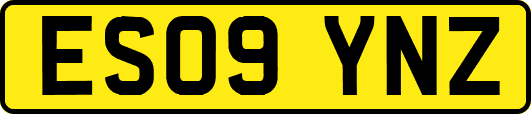 ES09YNZ