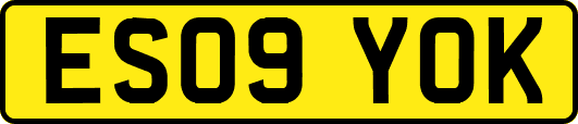 ES09YOK