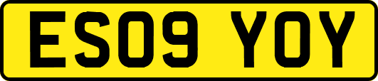 ES09YOY