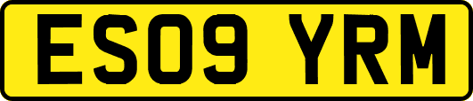 ES09YRM