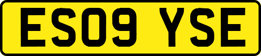 ES09YSE