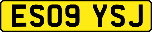 ES09YSJ