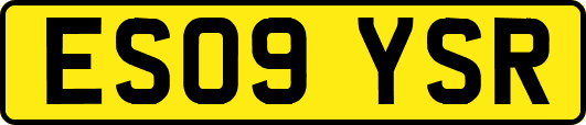 ES09YSR