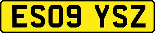 ES09YSZ