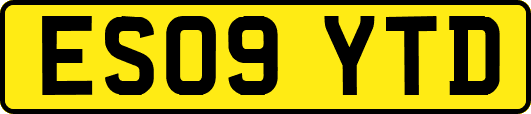 ES09YTD