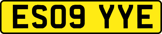 ES09YYE