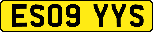 ES09YYS