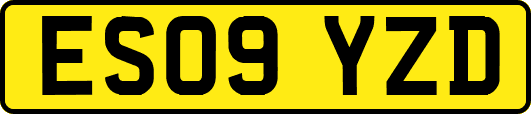 ES09YZD