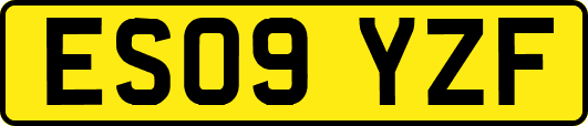 ES09YZF