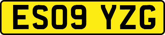 ES09YZG