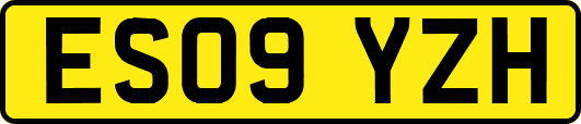 ES09YZH