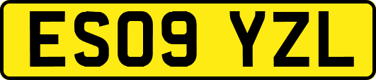 ES09YZL