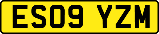 ES09YZM