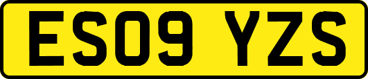 ES09YZS