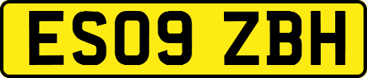 ES09ZBH