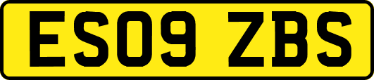 ES09ZBS