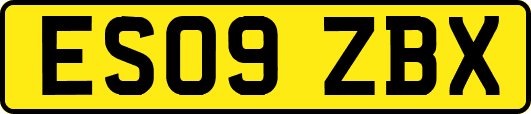 ES09ZBX