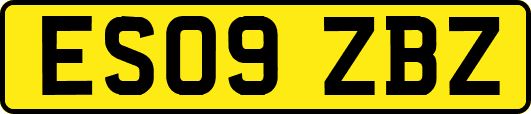 ES09ZBZ