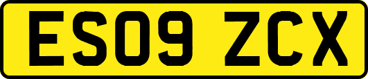 ES09ZCX