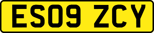 ES09ZCY