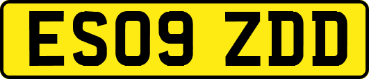 ES09ZDD