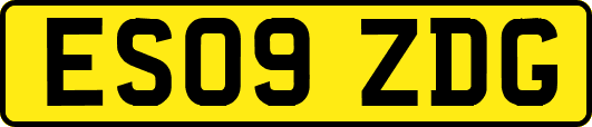 ES09ZDG