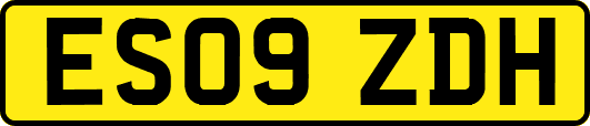 ES09ZDH