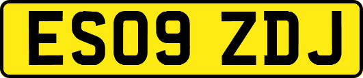ES09ZDJ