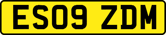 ES09ZDM