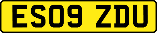 ES09ZDU