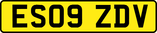 ES09ZDV
