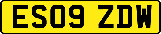ES09ZDW