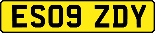 ES09ZDY