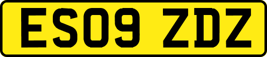 ES09ZDZ
