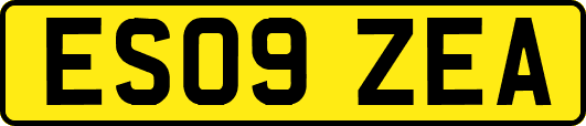 ES09ZEA