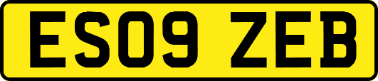 ES09ZEB