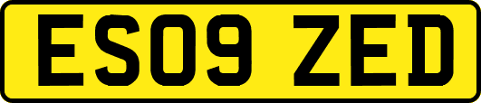 ES09ZED