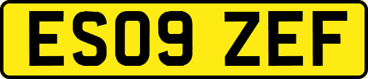 ES09ZEF