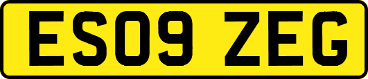 ES09ZEG