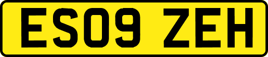 ES09ZEH
