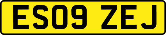 ES09ZEJ