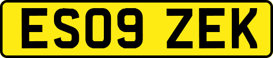 ES09ZEK