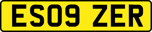 ES09ZER