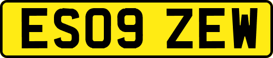 ES09ZEW
