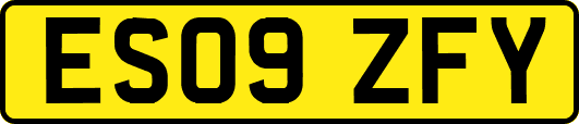 ES09ZFY