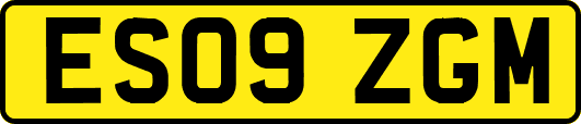 ES09ZGM