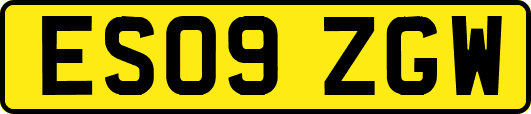 ES09ZGW
